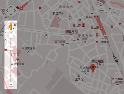 正しい表示例： Google Maps JavaScript API で表示した地図