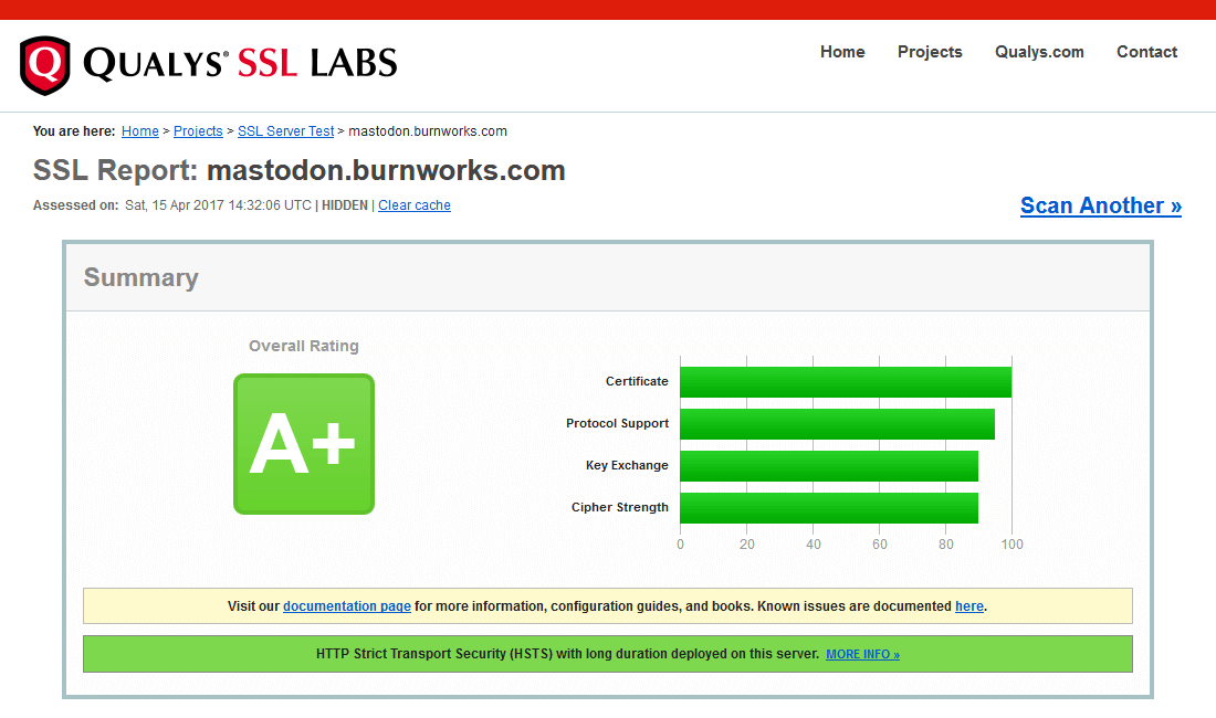SSL Server Test (Powered by Qualys SSL Labs) による mastodon.burnworks.com のチェック結果